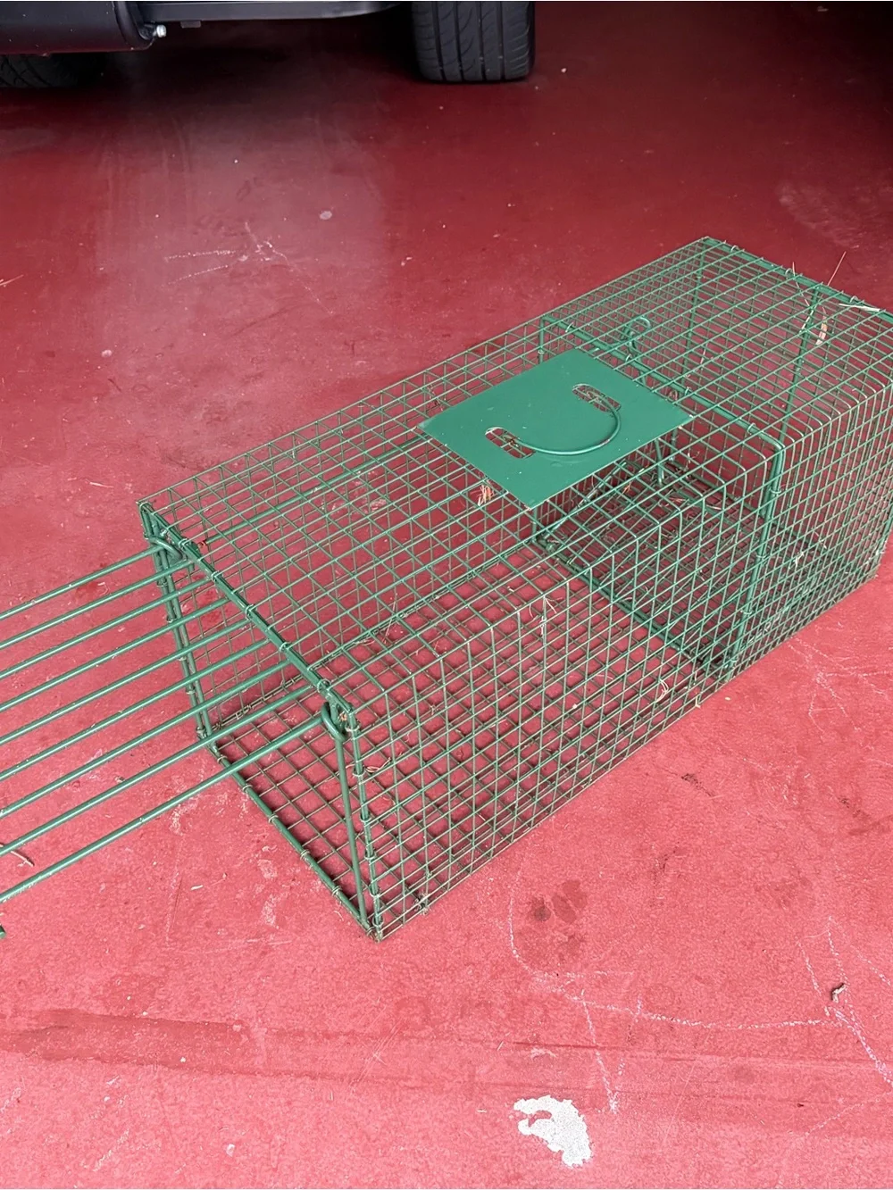 Duke Traps HD Large Cage Trap with Top Carry Handle
